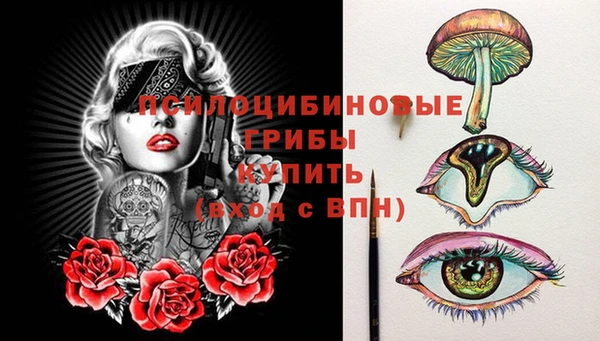прущая мука Верея
